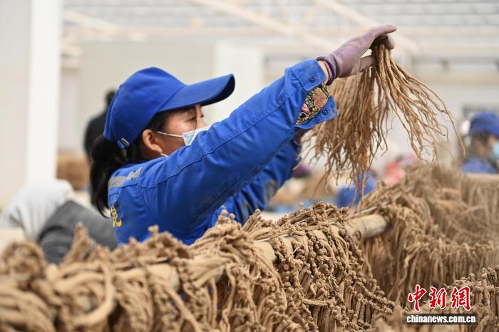 古惑仔电影大尺度床戏 仔电自己挤在塑料凳上