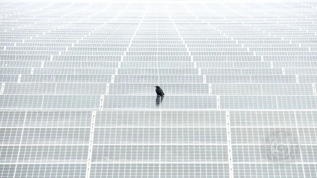 常州市诚隆图书有限公司 招标海报