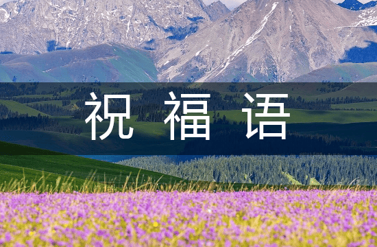 午夜精品视频在线观看看海报